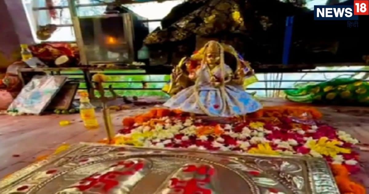 Maa Masani Meldi: यहां गुप्त रूप से जंगल में विराजमान है तंत्र की देवी, मंदिर के पेड़ों पर