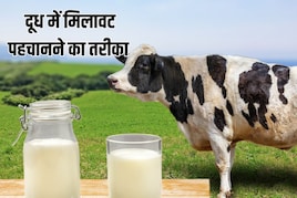 मिलावटी दूध पीने से 15 लोग पहुंच अस्पताल, जानें कैसे करें दूध की प्योरिटी चेक 