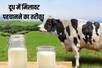 मिलावटी दूध पीने से 15 लोग पहुंच अस्पताल, जानें कैसे करें दूध की प्योरिटी चेक 