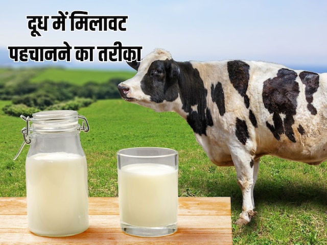 मिलावटी दूध पीने से 15 लोग पहुंच अस्पताल, जानें कैसे करें दूध की प्योरिटी चेक