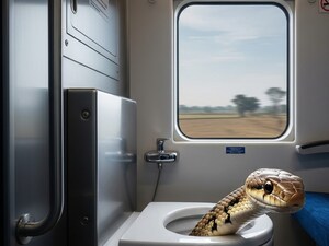 वंदे भारत ट्रेन के टॉयलेट में मिला सांप, छोड़कर भागने वाला गिरफ्तार. (एआई इमेज)