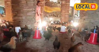 मुर्गी पालक अनीता कश्यप.