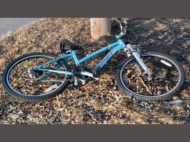 There is a rabbit hidden in this photo, the challenge is to find it in 7 seconds!