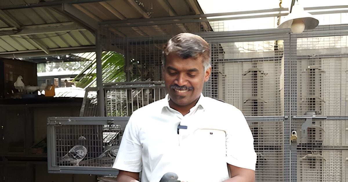 कबूतर है या हवाई जहाज, 28 घंटे में पूरी कर ली 1000 KM की उड़ान, रच दिया रेसिंग का इतिहास