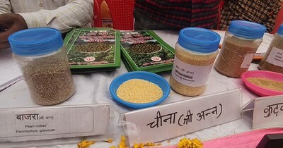 कम पानी, बिना खाद और जबरदस्त पैदावार: फिरोजाबाद में बढ़ रही है श्री अन्न की मांग.