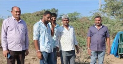 राजकोट में तेंदुए का आतंक: 8 दिन में 7 मवेशियों का शिकार, ग्रामीणों में दहशत का माहौल.