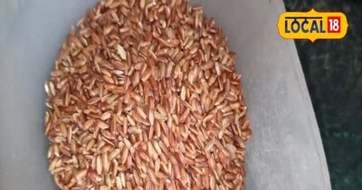 लाल चावल