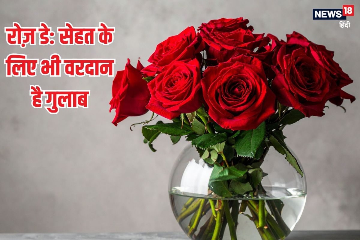 Health benefits of Rose: सिर्फ प्रेम ही बयां नहीं करता गुलाब, सेहत के लिए भी वरदान है, जानें कैसे