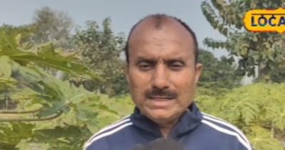 बिहार का किसान पपीता से कमा रहा ₹11 लाख सालाना, नई तकनीक से बदली किस्मत
