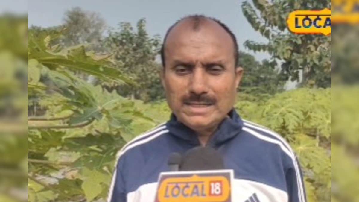 पुरानी परंपरा, नई तकनीक! बिहार का ये किसान पपीता से कर रहा ₹11 लाख की कमाई, जानें 'सक्सेस मंत्र'