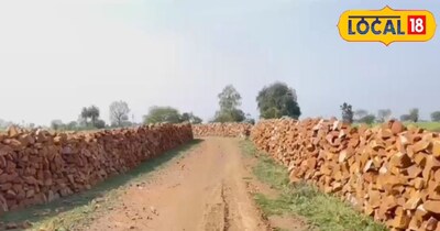 MP में किसानों को मिली राहत: मुफ्त खेत की बाउंड्री से फसल सुरक्षित, रात में चैन की नींद.