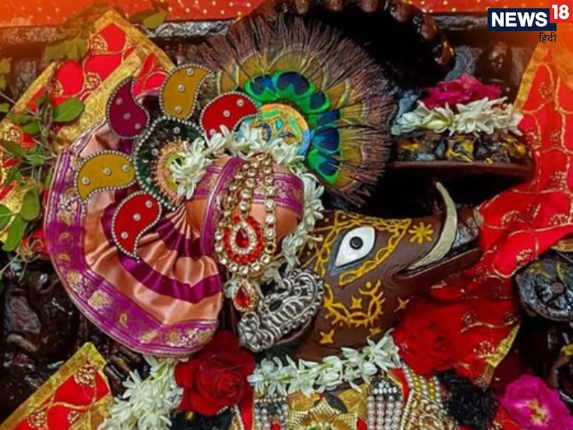 Varah Rupam Dev Shri Adi Varah Dev Ji Temple in Mathura Know History puja aarti Timings ...