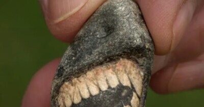 मुस्कारते हुए इस पत्थर की खोज ने वैज्ञानिकों को हैरान किया है. 