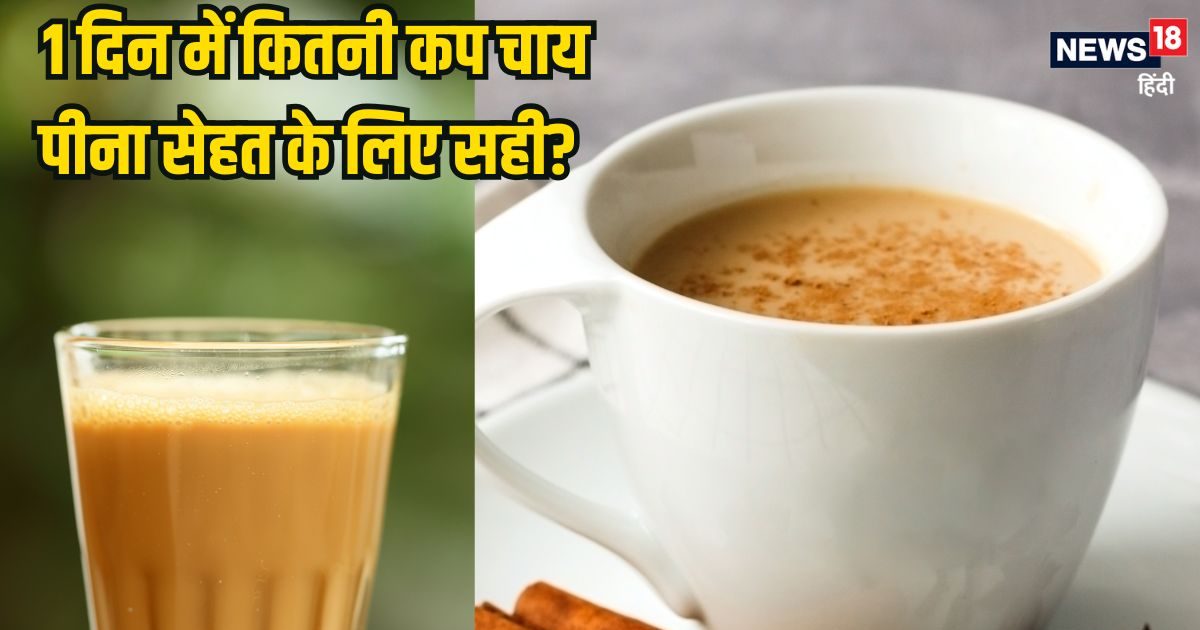 एक हेल्दी व्यक्ति को दिन भर में कितनी कप चाय पीनी चाहिए? अधिक पीने से क्या होंगे नुकसान