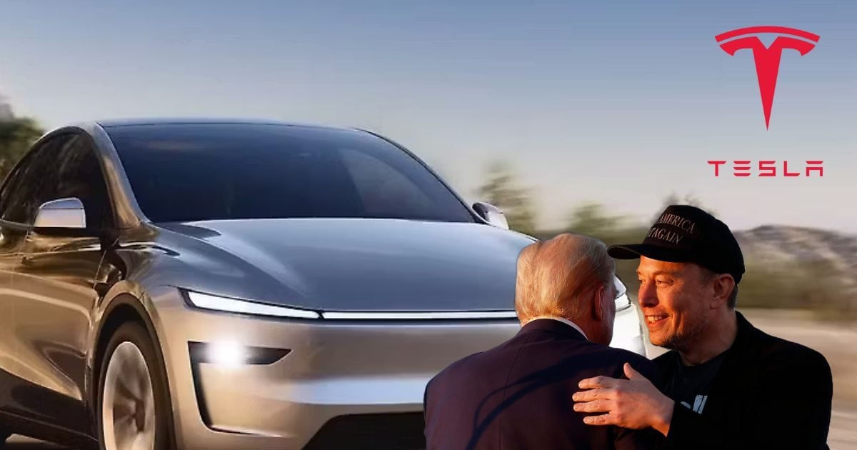 India US Trade Deal: Will Tesla cars become cheaper in India? Did Musk recommend Trump?