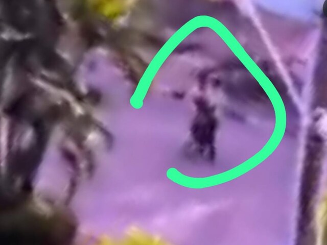 बंदूक लेकर स्कूल में घुसा लड़का, अंधाधुध फायरिंग कर बंधन बनाए टीचर-छात्र
