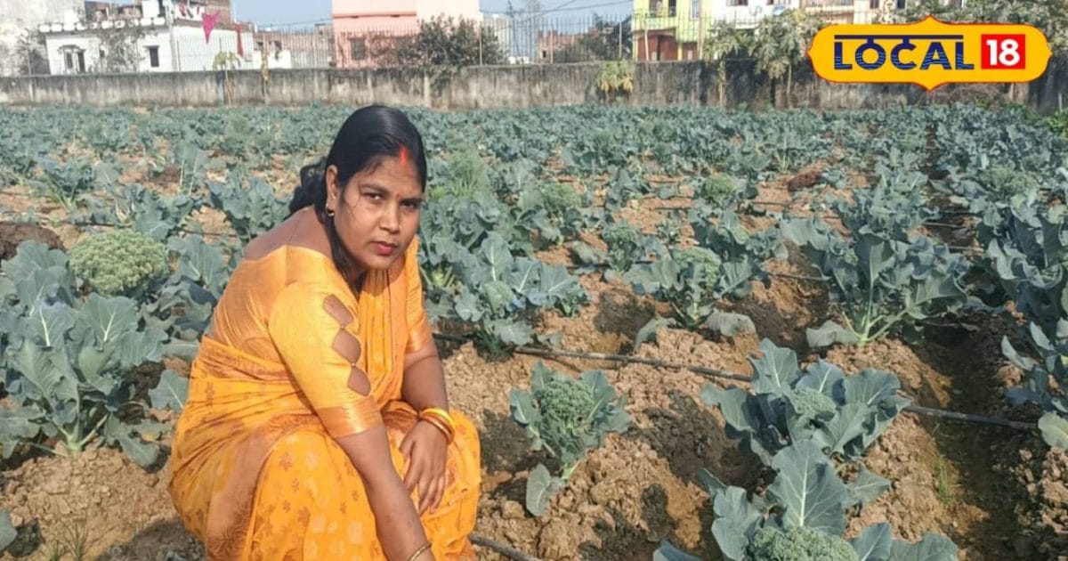 दो कट्ठे से 2 एकड़ तक का सफर, गया की महिला किसान 100 दिन में कमा रहीं 3 लाख
