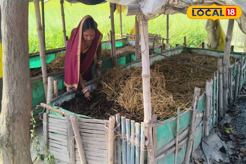 सक्सेस स्टोरी