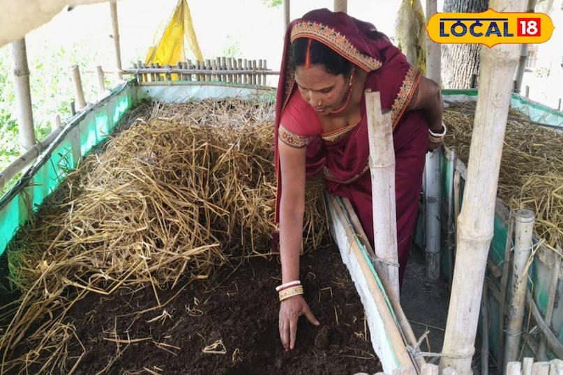 सक्सेस स्टोरी