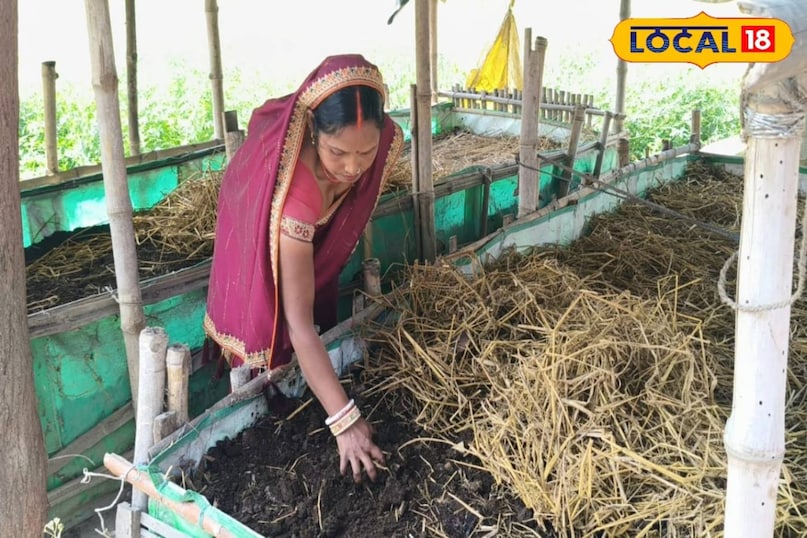 सक्सेस स्टोरी