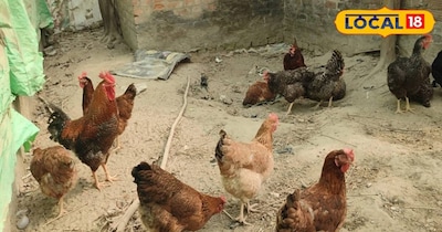 सक्सेस स्टोरी