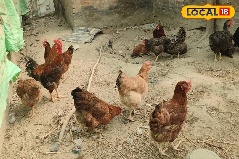 सक्सेस स्टोरी