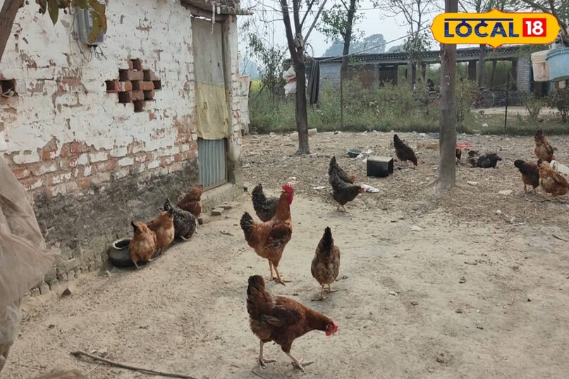 सक्सेस स्टोरी