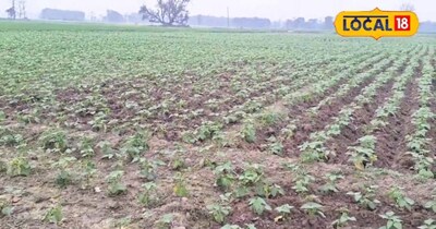 सक्सेस स्टोरी