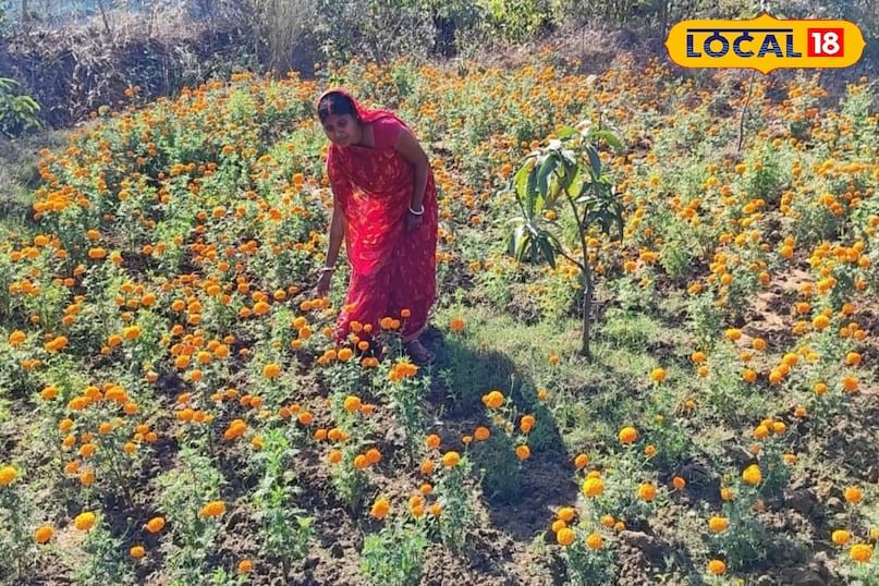 सक्सेस स्टोरी