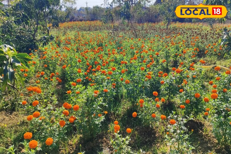 सक्सेस स्टोरी