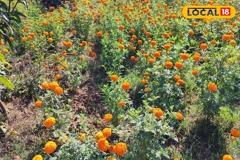 सक्सेस स्टोरी