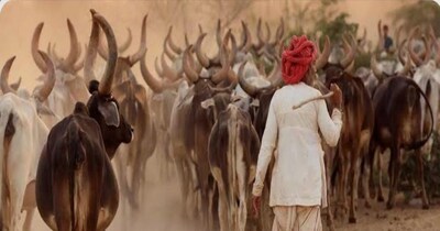 राजस्थान में 'गांव ग्वाला योजना' की शुरुआत हुई