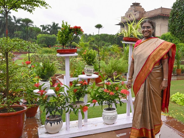 मंगलवार से खुलेगा अमृत उद्यान, 145 तरह के गुलाब का कीजिए दीदार