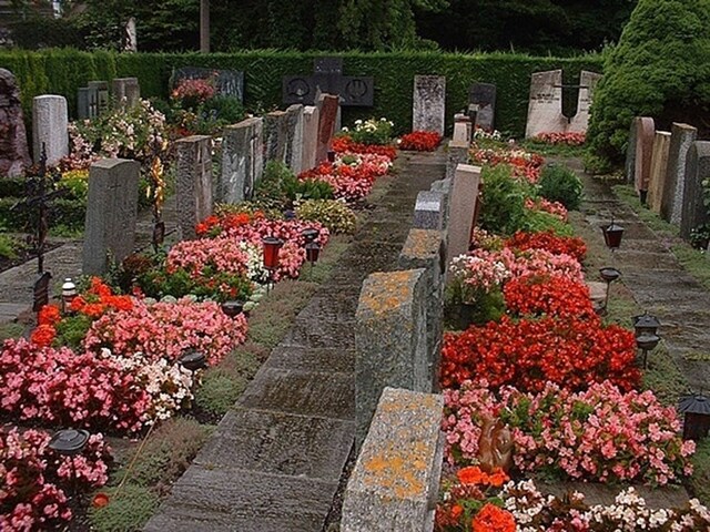 क्या आपने कभी देखा है इतना खूबसूरत कब्रिस्तान? रहने आते हैं लोग, भूतों से हो जाएगा प्यार!