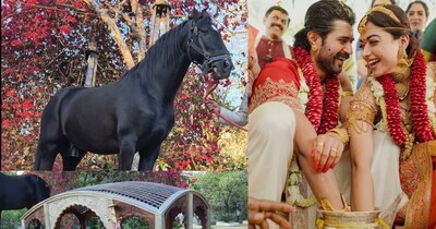 विजय देवरकोंडा रश्मिका मंदाना शादी उदयपुर