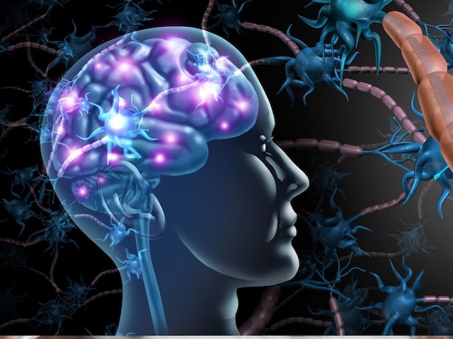 মস্তিষ্ককে ডিটক্সিফাই করতে রাতে ভালো ঘুম প্রয়োজন, স্মৃতিশক্তিও বৃদ্ধি পাবে।