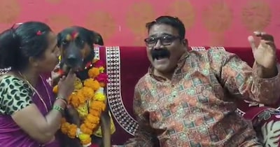 बुरहानपुर में डॉग के बर्थडे पार्टी का वीडियो वायरल हो रहा है. 