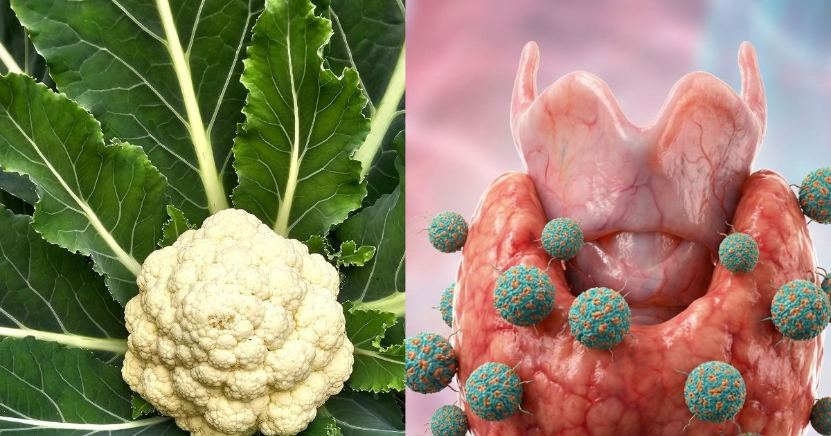 Cauliflower Side Effects: ज्यादा गोभी खाने से क्या होता है? जानें 5 बड़े नुकसान