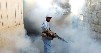 यूरोप के 29 देशों में बढ़ा 'चिकुनगुनिया' का खतरा (File Photo : Reuters)