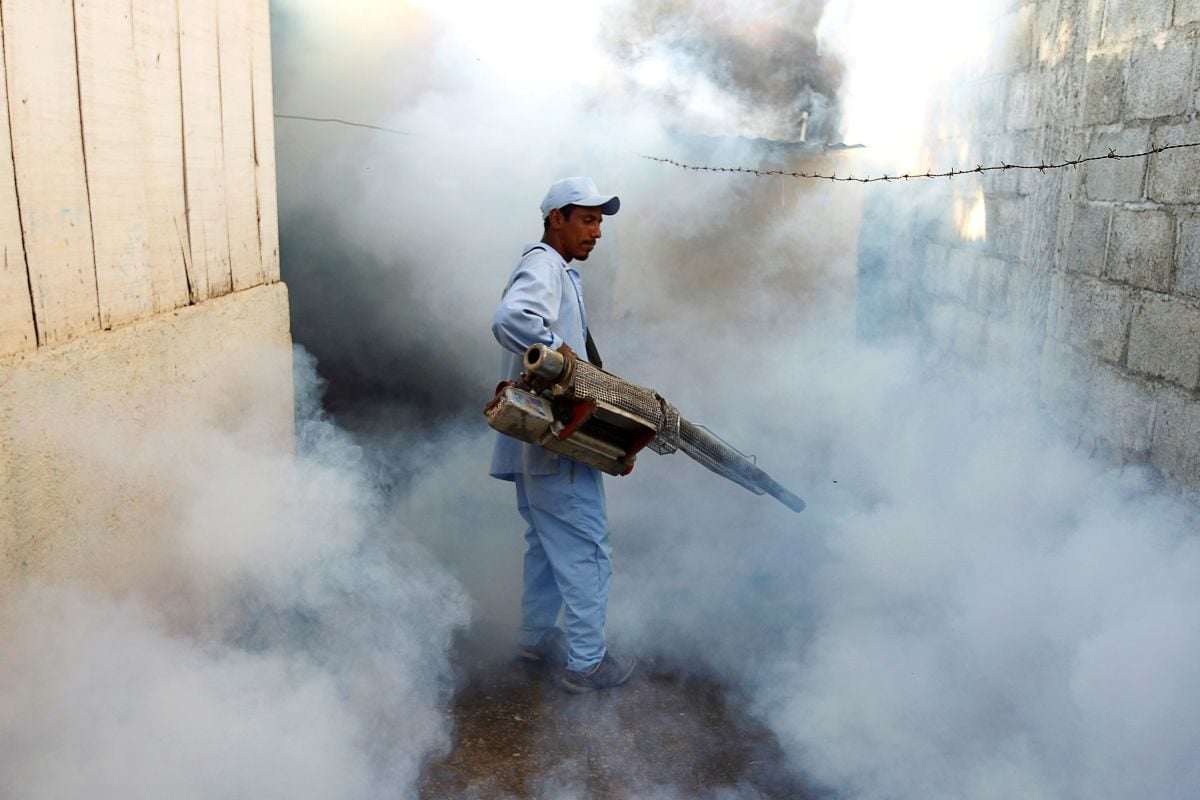 स्पेन से लेकर इंग्लैंड तक मच्छरों का आतंक, यूरोप के 29 देशों में कहर बरपाएगा \'हड्डियां तोड़\' देने वाला यह वायरस