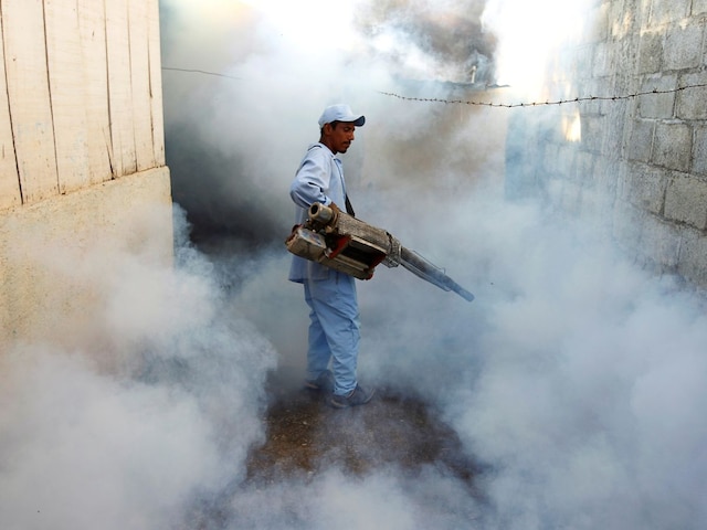 স্পেন থেকে ইংল্যান্ড, ইউরোপে 'হাড় ভাঙা' ভাইরাসের হুমকি