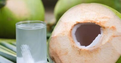 Coconut's Secret: Unraveling the Mystery of Water Inside and Its Sweetness