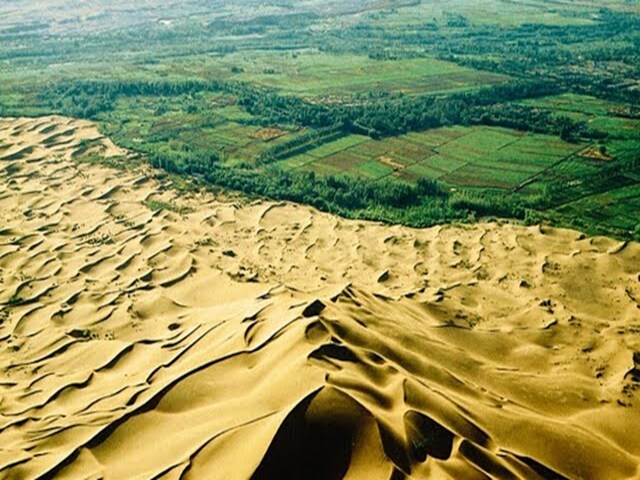 Not a single straw used to grow in the barren desert, today 66 billion trees have grown!