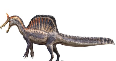 नाइजर के रेत में 95 मिलियन सालों से दफ़न थी डायनासोर की हड्डियां (इमेज- फाइल फोटो)