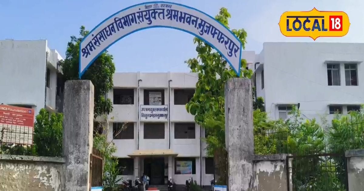 नौकरी पाने का सुनहरा अवसर, 100 पदों पर भर्ती के लिए कल लगेगा कैंप, सैलरी 19 हजार तक!