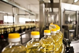 नहीं बिगड़ेगा रसोई का बजट, गृहणियों को दी सरकार ने दी खुशखबरी