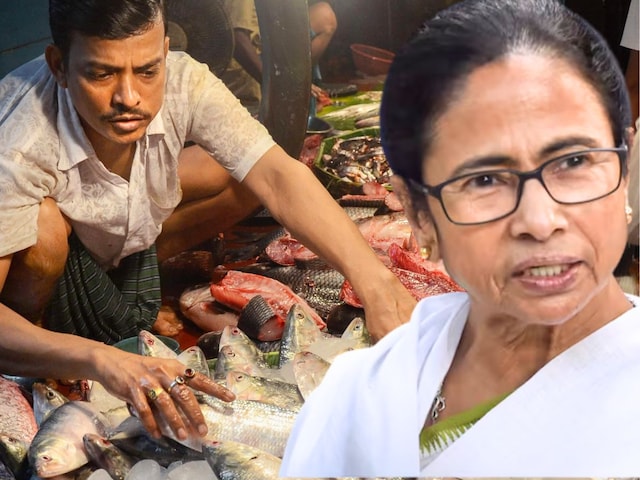 मछली के कांटे में फंसा बंगाल, बिहार पर ममता ने ऐसा क्‍या कहा, बीजेपी लाल हो गई