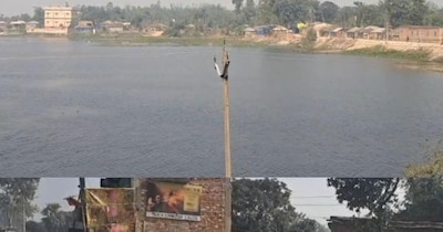 कोसी तटबंध पर अतिक्रमण या मजबूरी? बिहार में सरकारी सुविधाओं पर उठे सवाल.