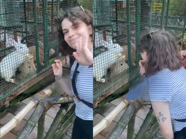 'India is better than France!' Video of foreign woman goes viral!