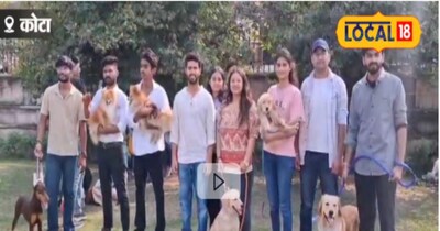 Seven Wonder Park Dog Show